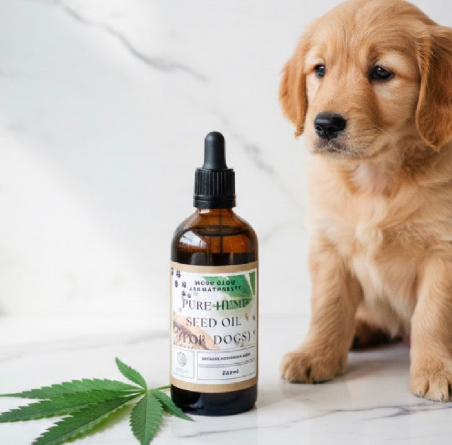 Hemp seed oil for dogs