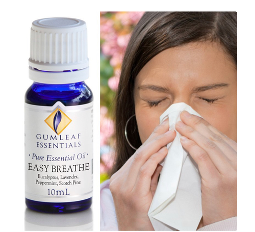 Essential oil blend -Easy Breathe